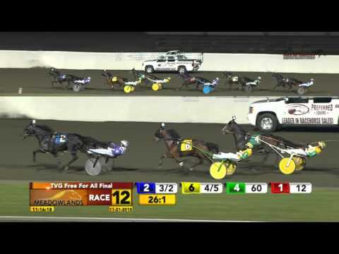 TVG Free For All Final - Bettor's Edge - November 21, 2015