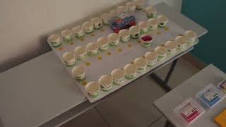Akshar Arbol International School Video