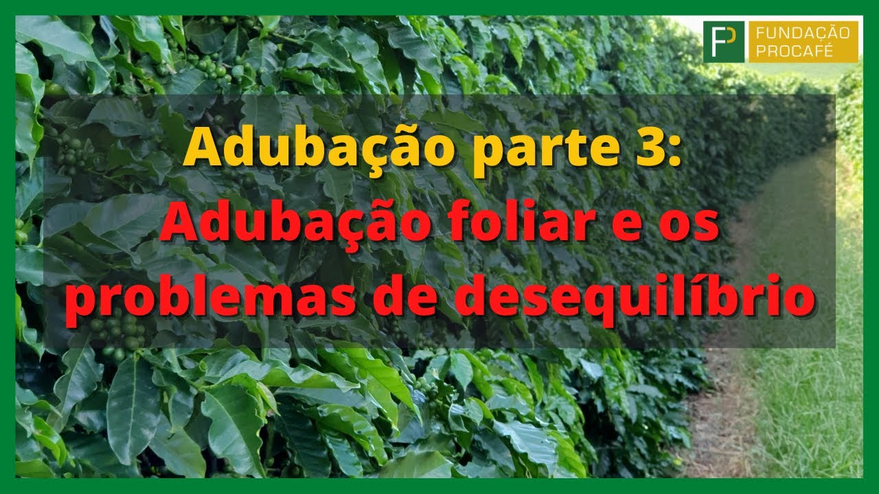 Podcast #15 - Adubação parte 3: Adubação foliar e os problemas de desequilíbrio