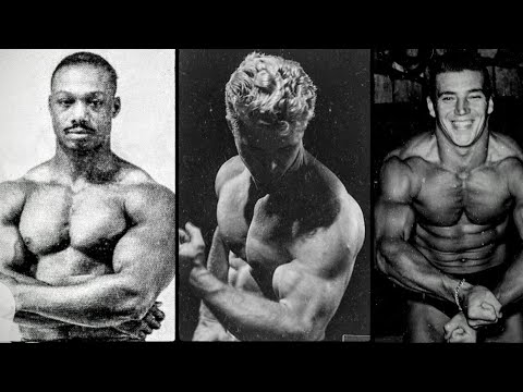 Jamie Lewis - Huge Natty Guns:  Lessons From History