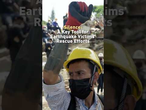Silence in Disaster Zone: Hope for Survivors Amidst Chaos