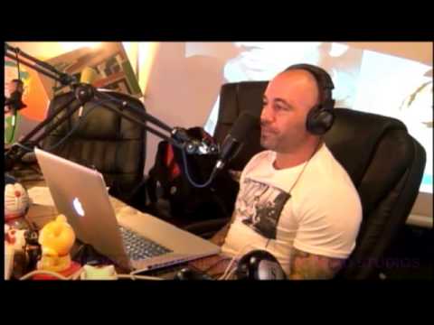 Joe Rogan Experience #204 - Amy Schumer