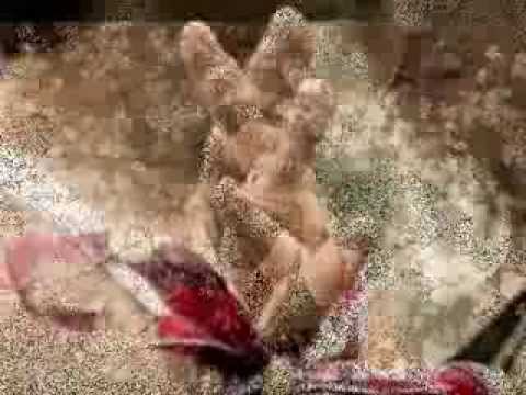 Milton Mallawarachchi - සුන්දරත්වයෙන් පිරි සොඳුරුම සිහිනේ..