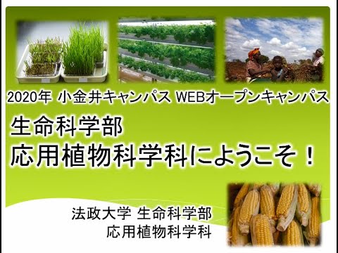 ブリュッセル自由大学応用科学部 - 定義
