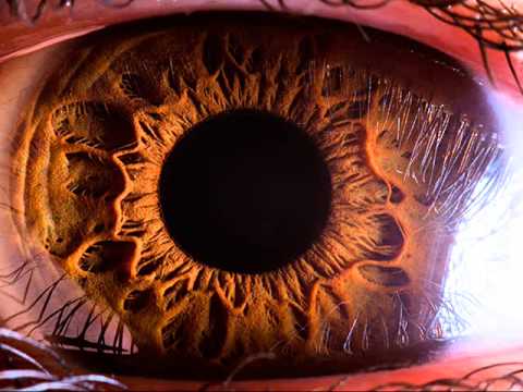 KLVNI -  Läpinäkyvä f  LISKO & DSMRFN