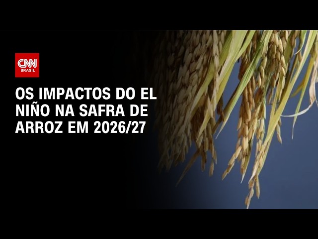 El Niño pode reduzir safra de arroz em 2026/2027 | CNN AGRO NEWS