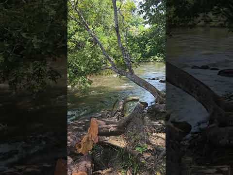 Cont. Ilha do Amor em Pedra Branca do Amapari - AP