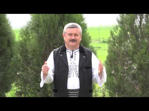 NELU PĂUCEAN - SUS PE MUNTELE CINDREL