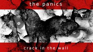 'Crack in the Wall' by The Panics