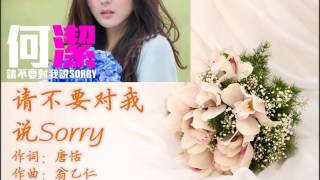 请不要对我说Sorry 伴奏