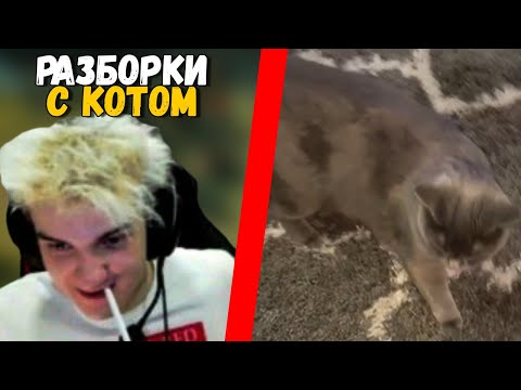 ALOHADANCE - Неприятности с Котом | Кусней Лакер на Войде | Алоха Про Кумана и ВиртусПРО