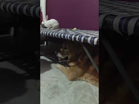 Mishal#friendship#sleeping night