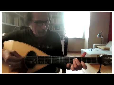 Liuto cantabile (mandocello 5 courses) image 17
