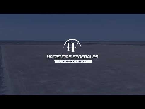 🌾 Campo agrícola–ganadero en venta | 1.005 ha | Real Sayana, Santiago del Estero