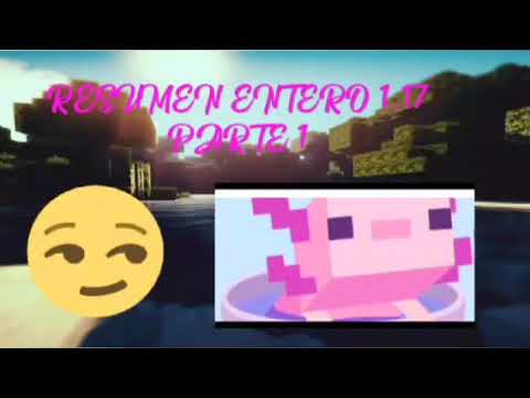 resumen completo 1.17 (super resumen)