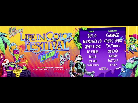 Marshmello @ Life in Color Festival Miami 2017 (LIVE)