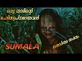 ഒരു നാടിന്റെ മുഴുവൻ പേടിസ്വപ്നമായ പെ