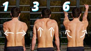How To Strengthen Your Scapula In Every Direction!