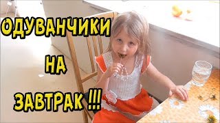 ОДУВАНЧИКИ НА ЗАВТРАК, НОВЫЙ ВЕЛИК и ТАНЦЫ./Ах-жизнь. Апрель 2019
