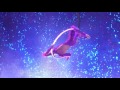 Sofie Dossi - America's Got Talent - Finals thumbnail 2