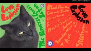 The Love Explosion - Black Flower Wasp