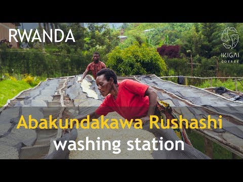 Abakundakawa Rushashi washing station, Rwanda
