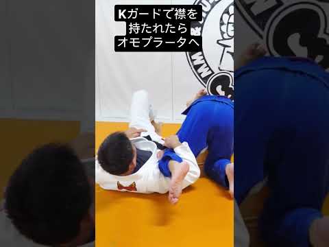 【柔術】Kガードで襟を持たれたらオモプラータへ