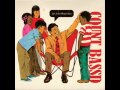 Count Bass D - Junkies