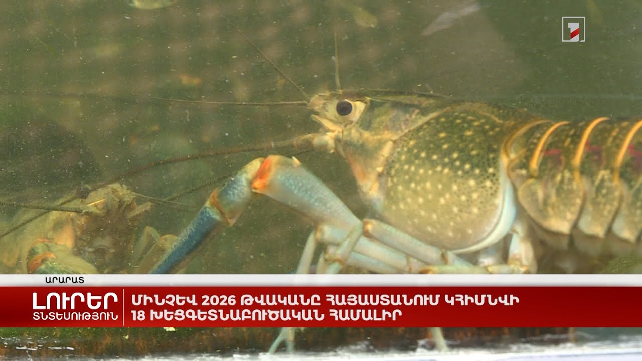 Մինչև 2026 թվականը Հայաստանում կհիմնվի 18 խեցգետնաբուծական համալիր