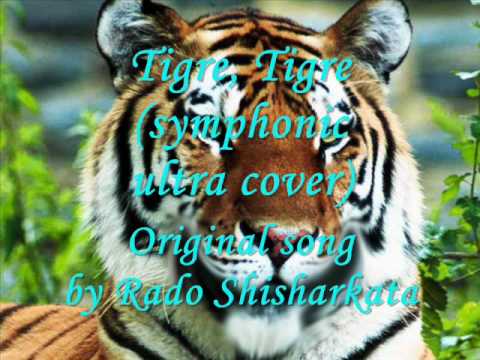 Rado Shisharkata and Popa - Tiger, tiger (symphonic cover)