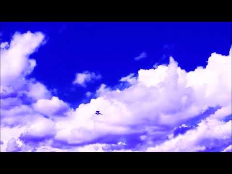 Wellenfeld - Sun Down