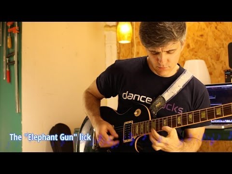 Steve Vai's "Elephant Gun" lick