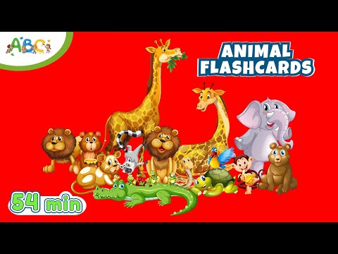 Animal Flashcards for Kids | Learn Wild & Sea Animal Names with Animal Flashcards for Toddlers