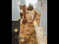 Kyon Ki Ithna Pyar Tumko Whatsapp Status With Lyrics