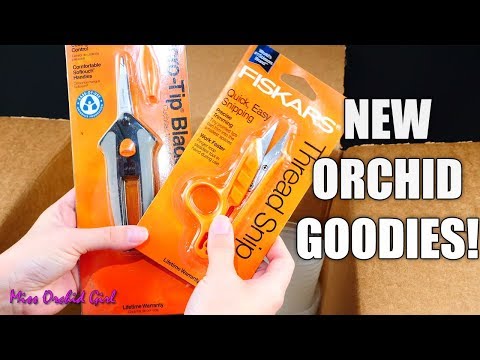 Opening care package from rePotme & Orchid projects to come