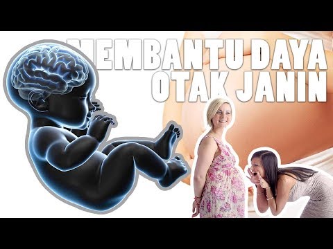 download lagu mp3 mp4 Tips Ibu Hamil Supaya Anak Pintar, download lagu Tips Ibu Hamil Supaya Anak Pintar gratis, unduh video klip Tips Ibu Hamil Supaya Anak Pintar