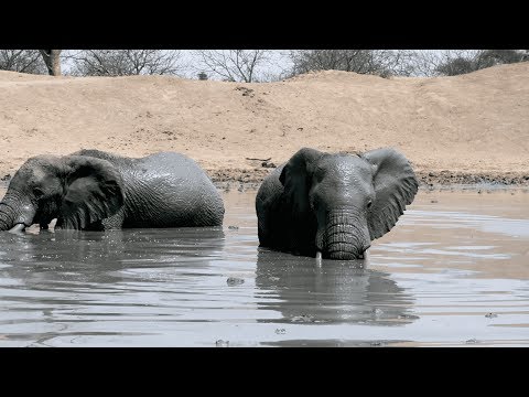 Explore Africa