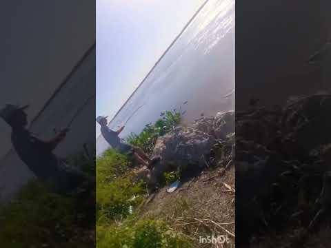 La Paz Entre Ríos 🎣✌️