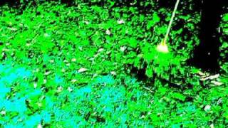 LEMON JELLY &#39;64 AKA GO