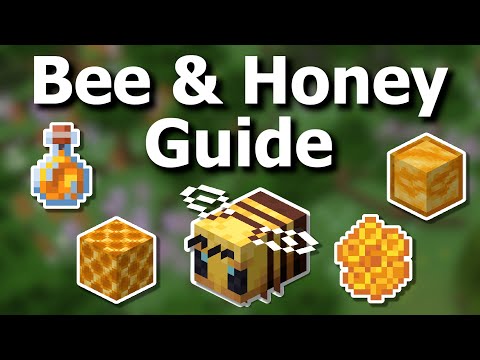 The Ultimate Minecraft 1.20 Bee and Honey Farming Guide | Auto Farm, Everything Honey and Honeycomb