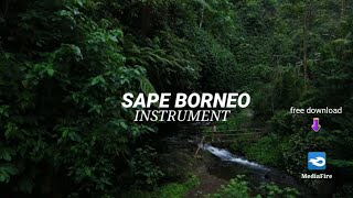Download lagu INSTRUMENT SAPE BORNEO DAYAK KALIMANTAN MERDU | NO COPYRIGHT mp3
