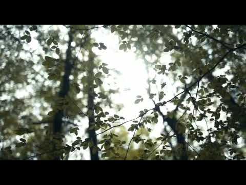 Vodní - Kruh ( Lubica, Muna & Tomáš)