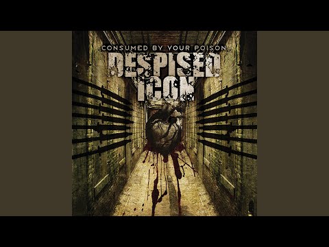 Despise the Icons