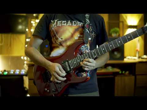 Within Temptation – Restless  Guitar Solo Cover 🎸