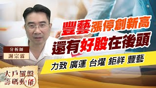 謝盤後標: 豐藝漲停創新高 還有好股在後頭 (圖)