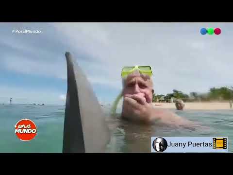 ¡Un tiburon ataco a Marley y Catherine Fulop en Fiji!   Por el mundo 2019