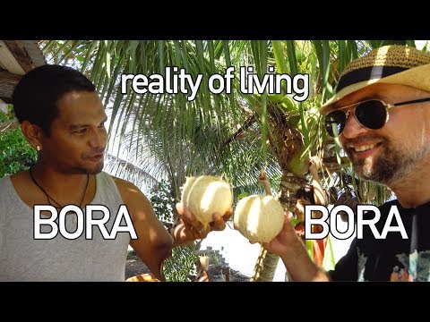 download lagu mp3 mp4 Living In Bora Bora, download lagu Living In Bora Bora gratis, unduh video klip Living In Bora Bora