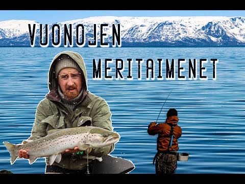Seatrout fly fishing in Norway 2024 ENG subs!
