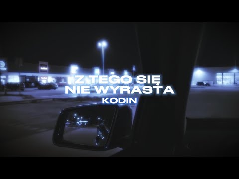 KODIN - Z TEGO SIĘ NIE WYRASTA (VISUALIZER)