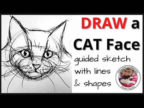 How to Draw a Cat Face - front view, fluffy long hair, simple gesture sketch, beginning artist & up